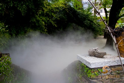 20170415_Brissago_JoannaRutkoSeitler_043